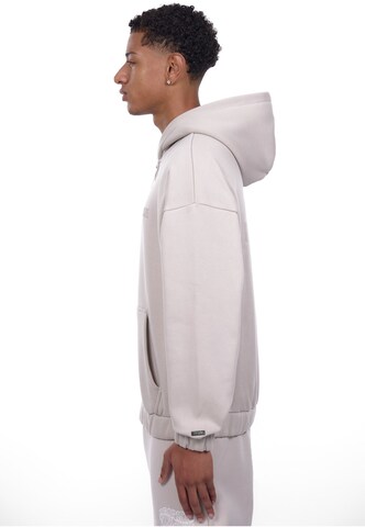 Dropsize Sweatjacke in Grau