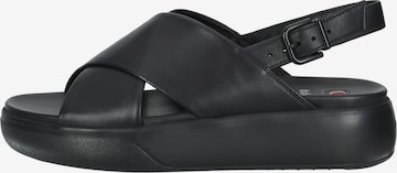 Högl Sandals in Black
