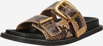 STEVE MADDEN Чехли 'Arch-E' в пъстро: отпред