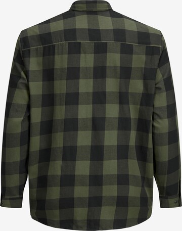 Jack & Jones Plus Regularny krój Koszula 'Gingham' w kolorze zielony