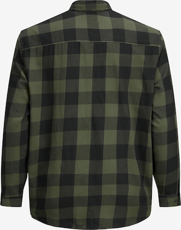 Jack & Jones Plus Regular fit Button Up Shirt 'Gingham' in Green