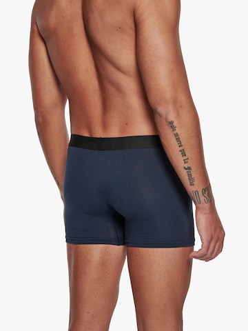 Adam Boxer shorts '6er Pack' in Black