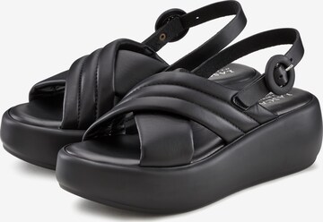 LASCANA Sandals in Black