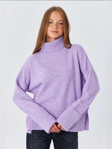 MixRay Sweater in Purple