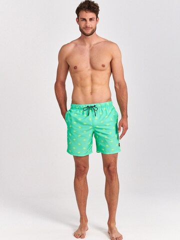 Shorts de bain Shiwi en vert