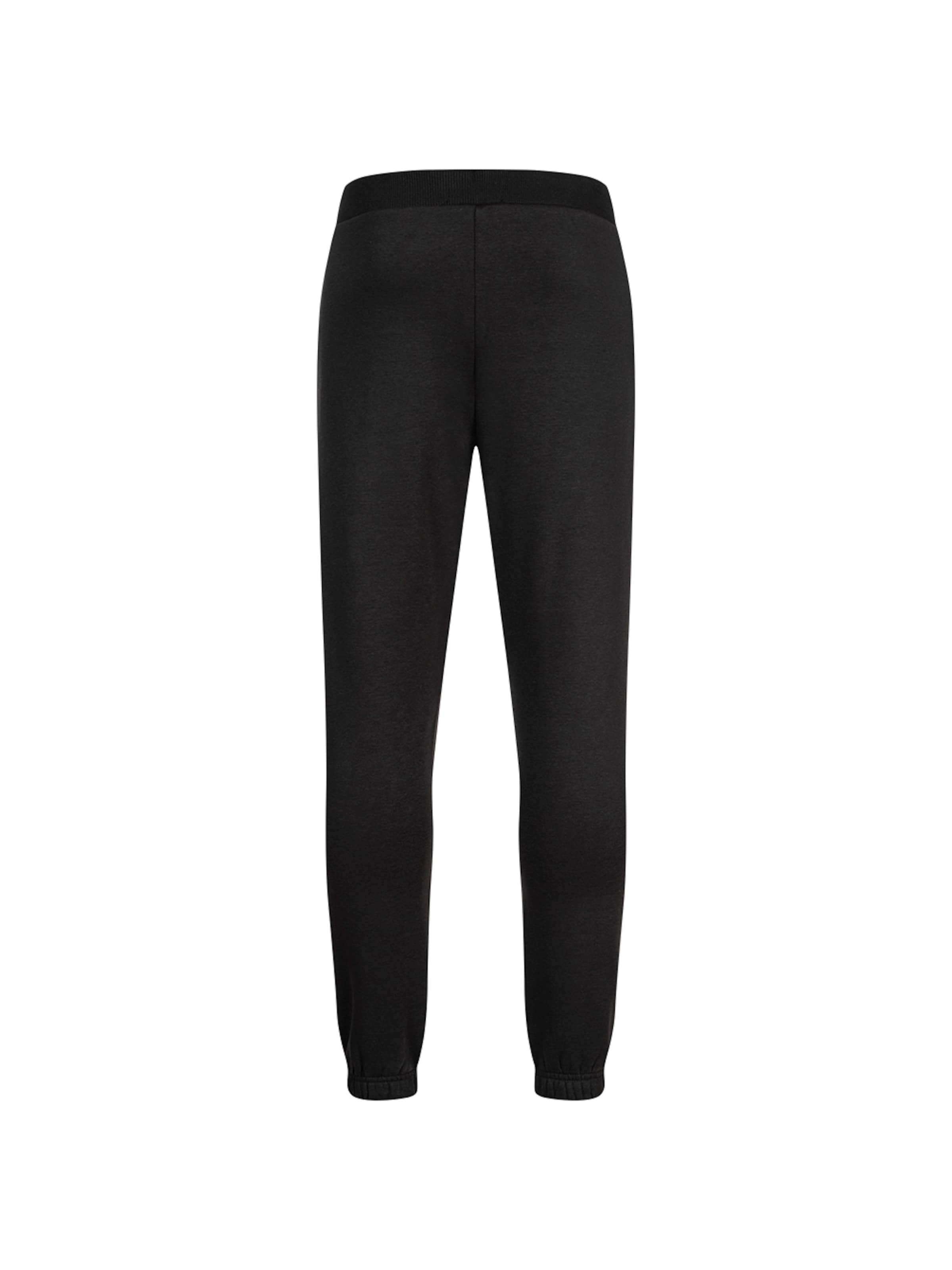 Regular Pantalon de sport PIERRE CARDIN en noir