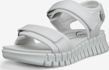 ECCO Sandale in Weiß: Vorderseite