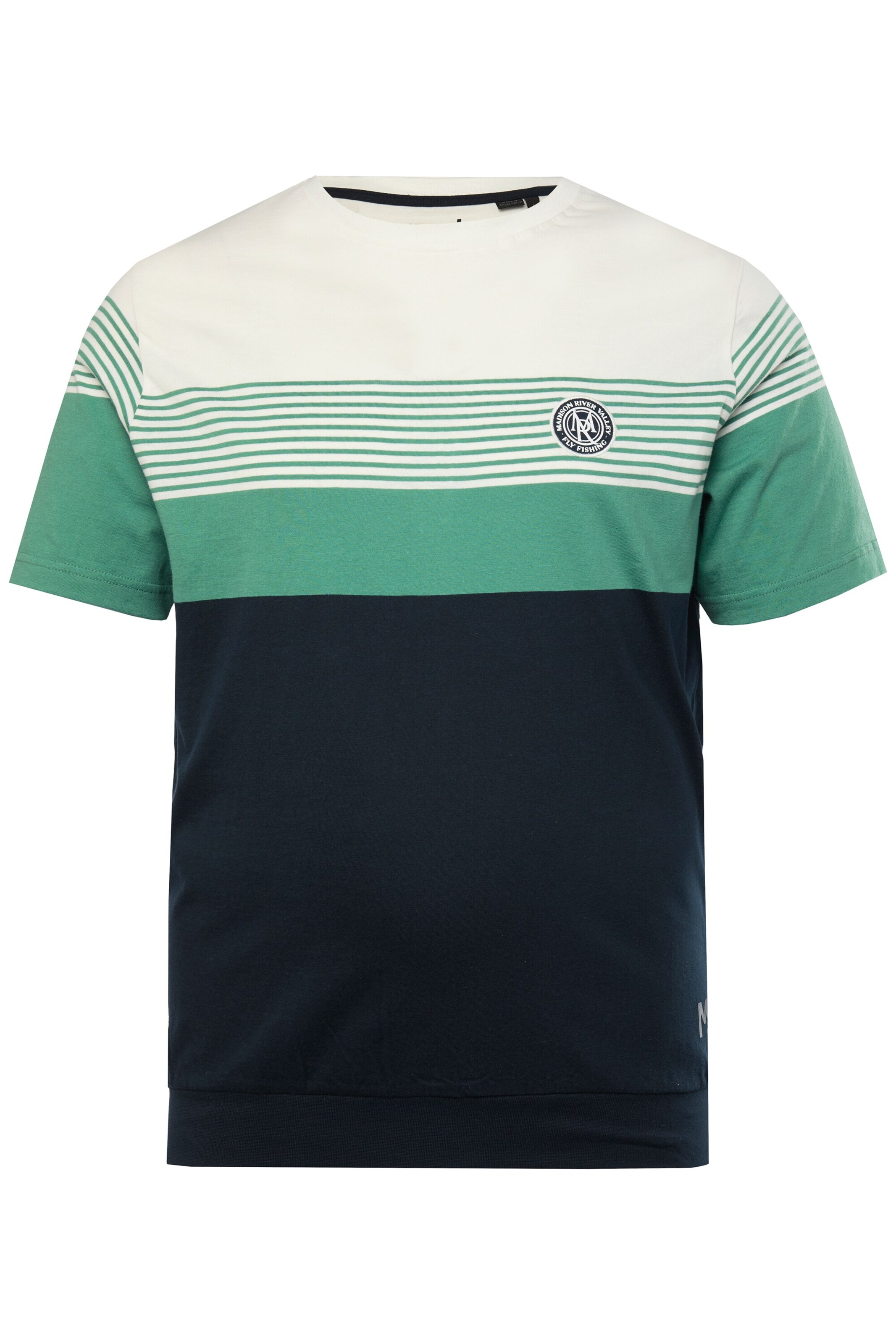 Men Plus Shirt in Blue: front