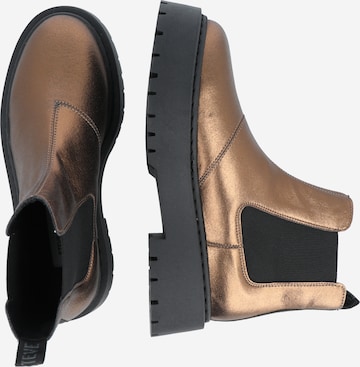STEVE MADDEN Chelsea Boots 'Veerly' in Bronze