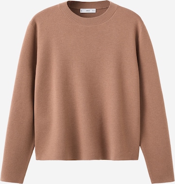 MANGO Sveter 'BRUNO' - Hnedá: predná strana