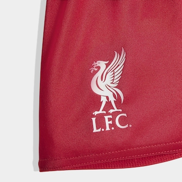 Completo per l'allenamento 'FC Liverpool 25/26' di ADIDAS PERFORMANCE in rosso