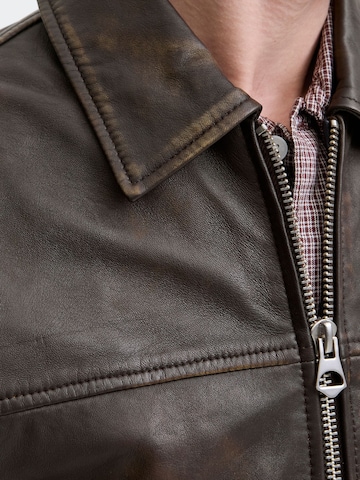 JACK & JONES Tussenjas in Bruin