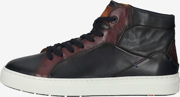 Sneaker alta di LLOYD in marrone