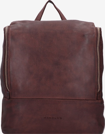 Harold's Backpack in Brown: front