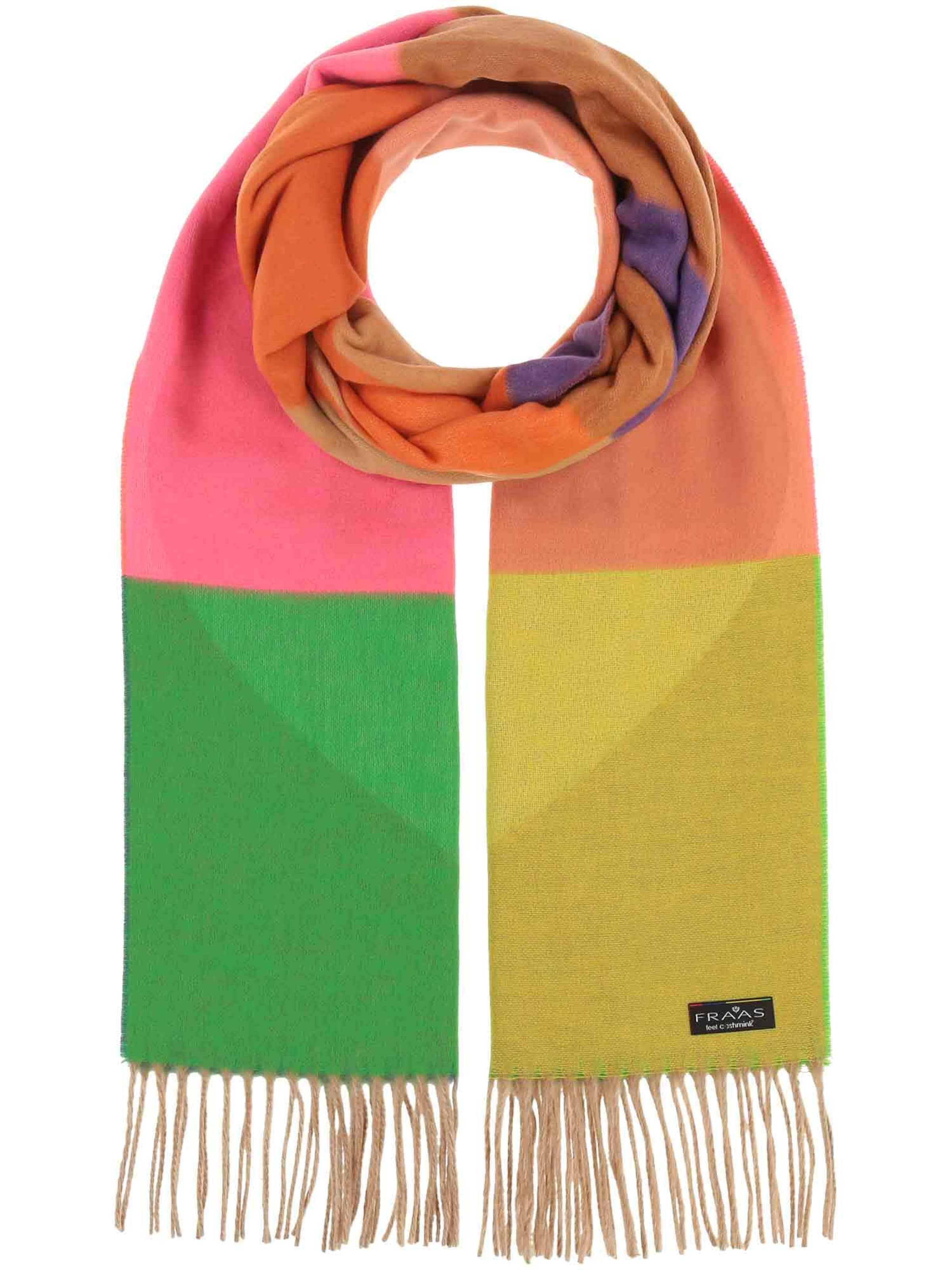 FRAAS Scarf in Mixed colors: front