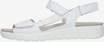 WALDLÄUFER Strap Sandals in White: front
