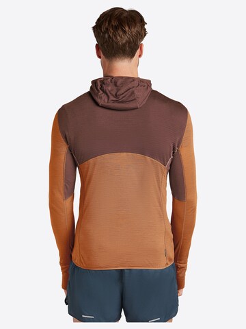 Felpa 'Merino 200 mid weight Realfleece Descender' di ICEBREAKER in colori misti