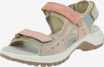 IMAC Sandals in Pink: front