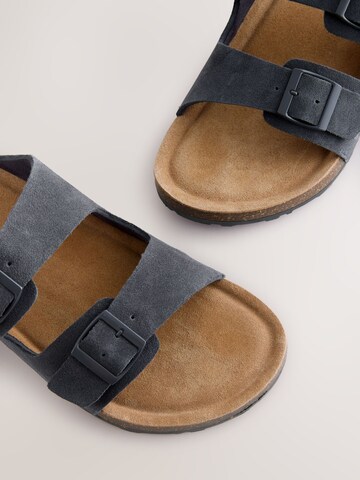 Next Mule in Blue