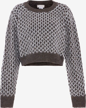 Jalene Sweater in Grey: front