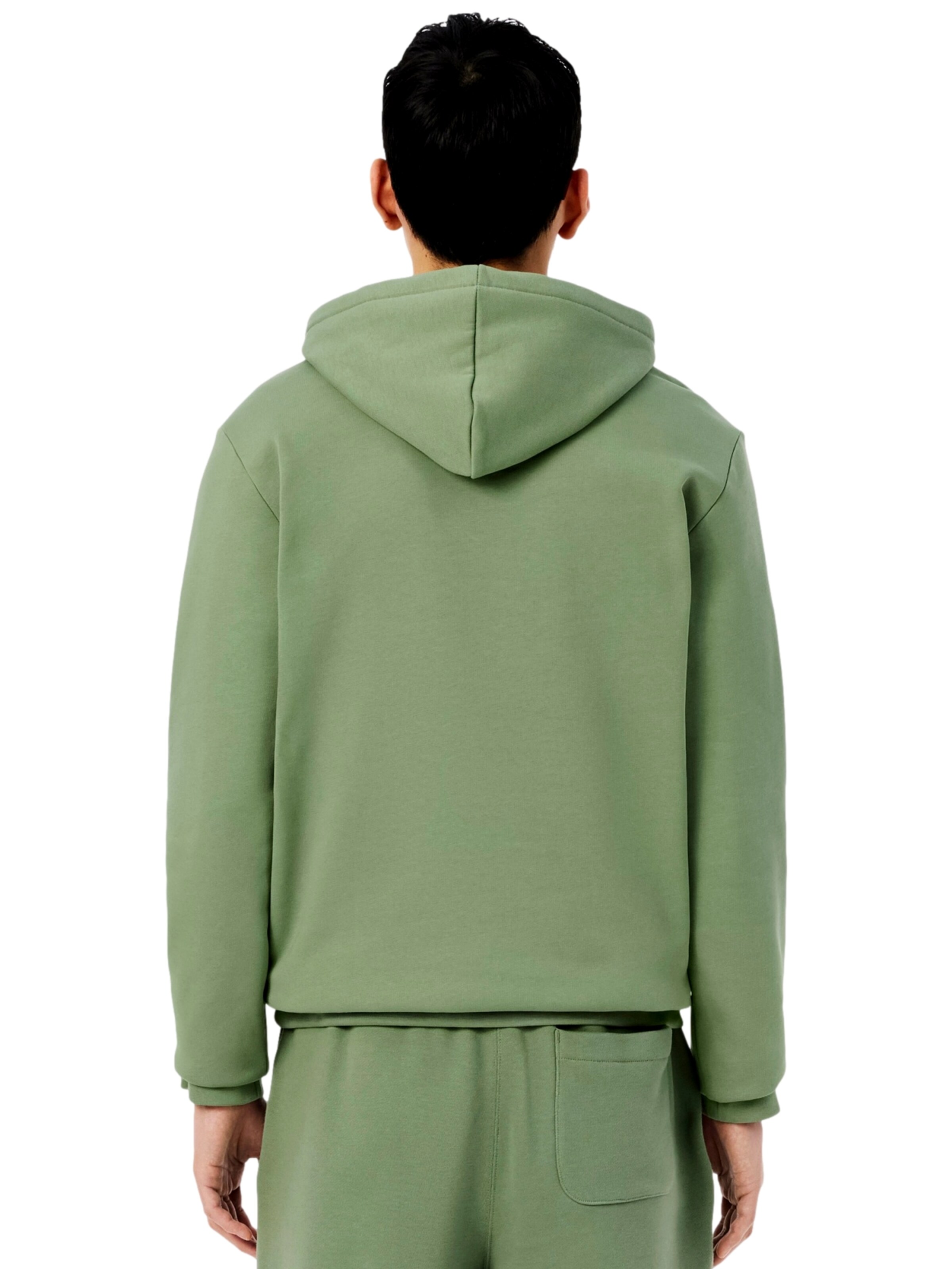 LACOSTE Sweatvest in Groen