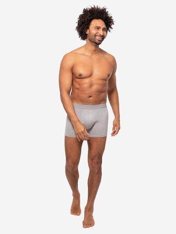Almonu Boxer shorts 'Cotton' in Grey