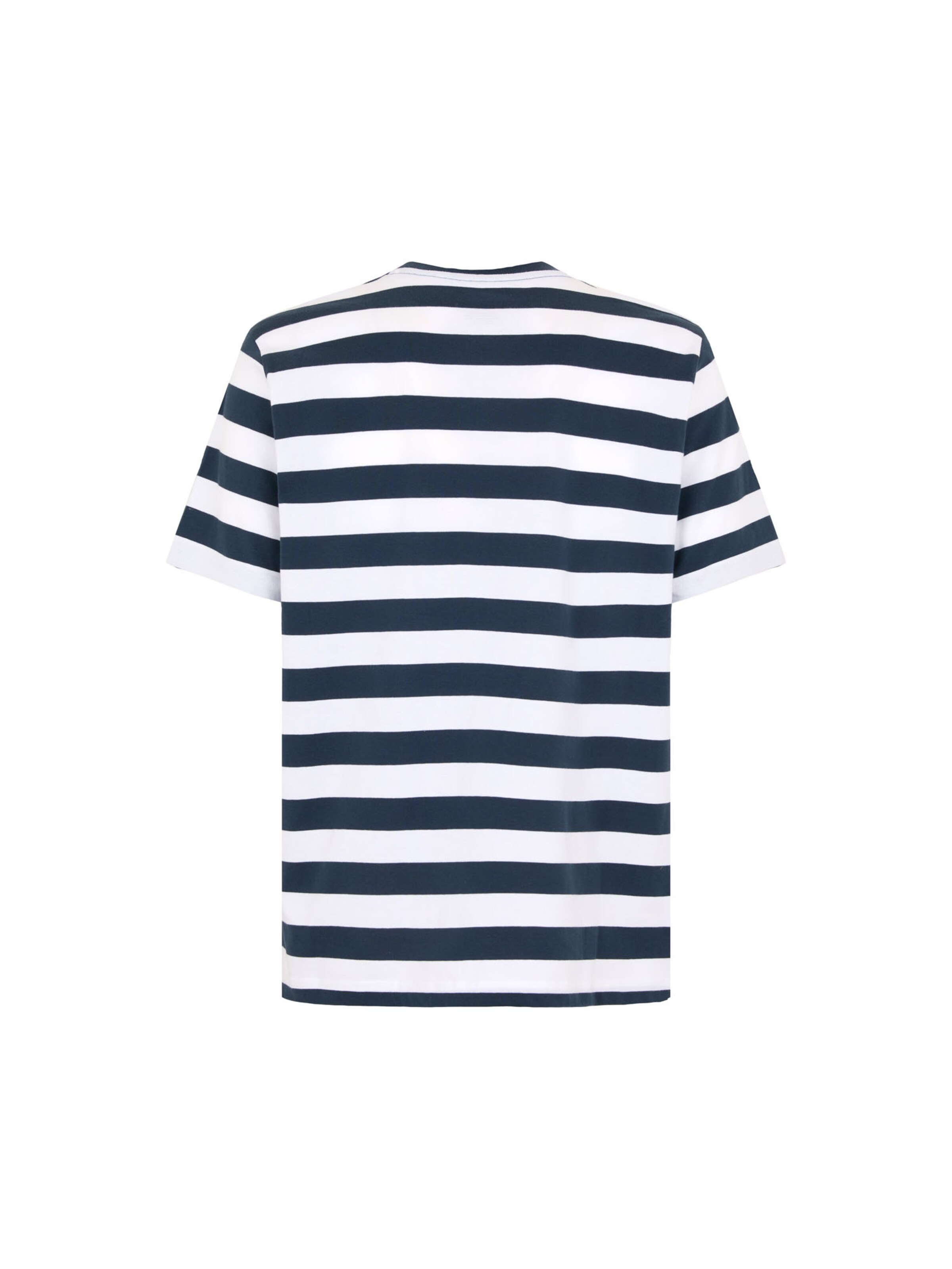 DICKIES - Camisa 'RIVERGROVE' em azul