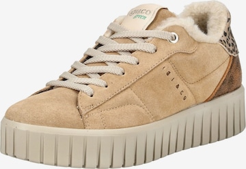 Sneaker bassa di IGI&CO in marrone: frontale
