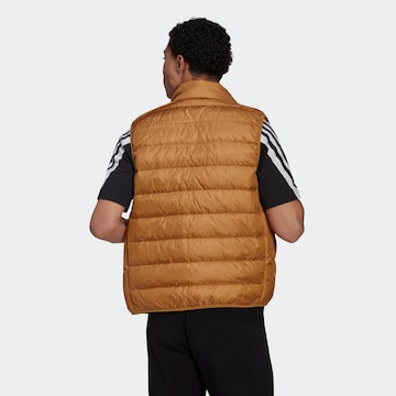 ADIDAS SPORTSWEAR Sportbodywarmer in Bruin