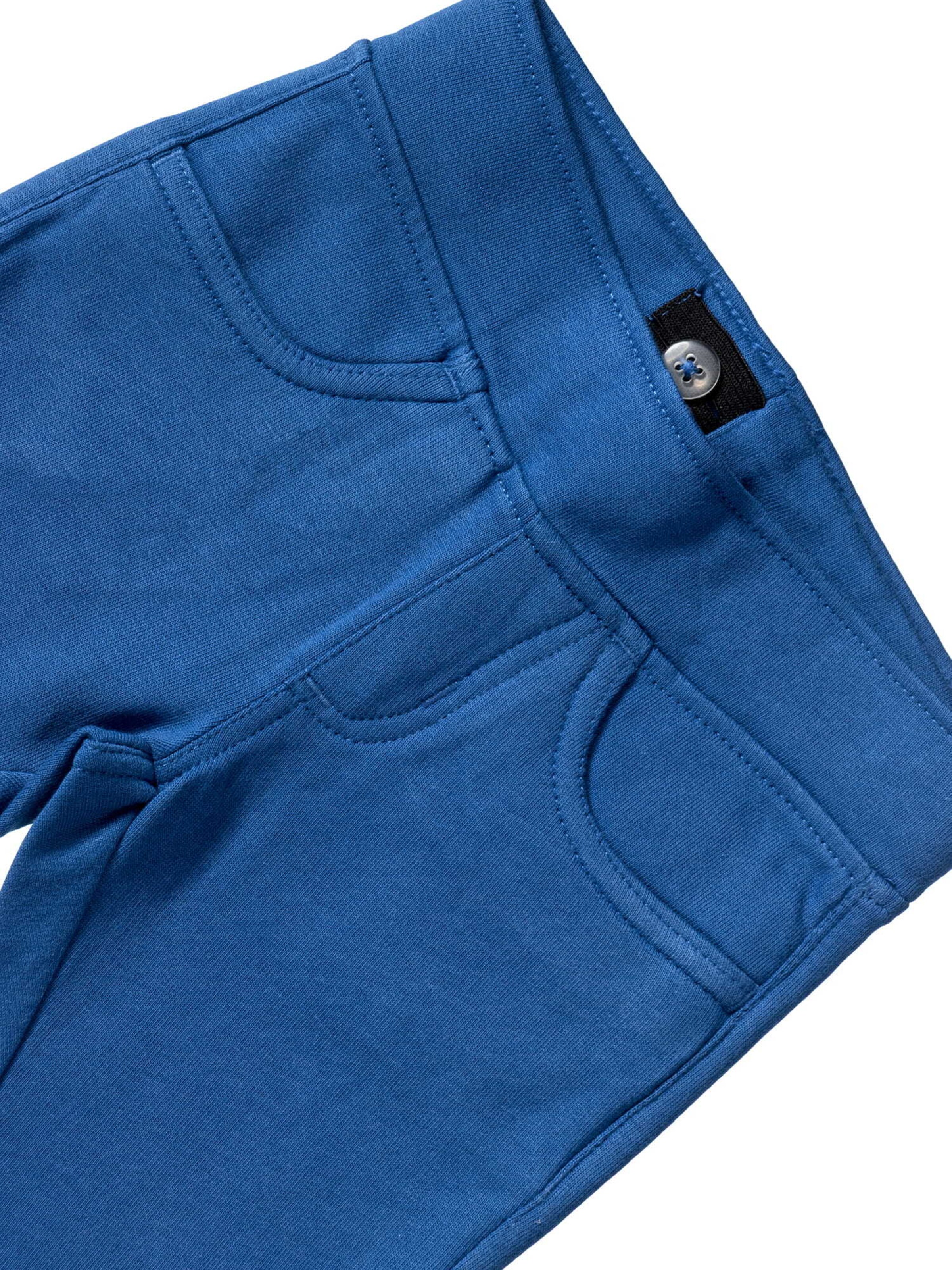 Villervalla Regular Pants 'College' in Blue