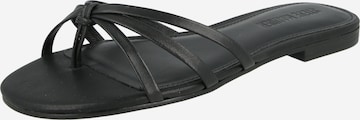 STEVE MADDEN Varbavaheplätu 'Calissi', värv must: eest vaates