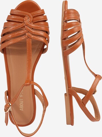 ABOUT YOU Strap Sandals 'Felicia' in Brown