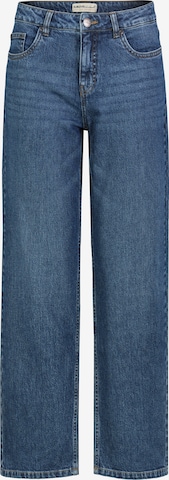 Sublevel Jeans in Blue: front