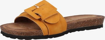 LAZAMANI Mules in Yellow: front
