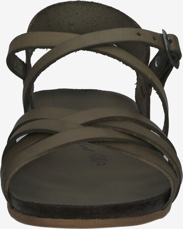 COSMOS COMFORT Sandalen met riem in Groen