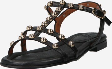 Billi Bi Strap Sandals in Black: front