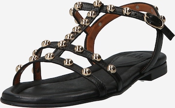 Billi Bi Strap Sandals in Black: front