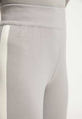 usha BLUE LABEL Regular Pants in Grey