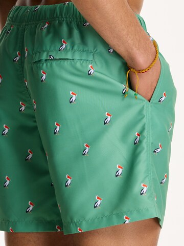 Shorts de bain 'PELICAN' Shiwi en vert