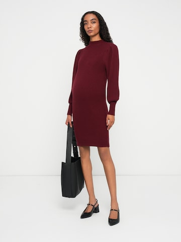 Only Maternity Трикотажное платье 'OLMKatia' в Красный