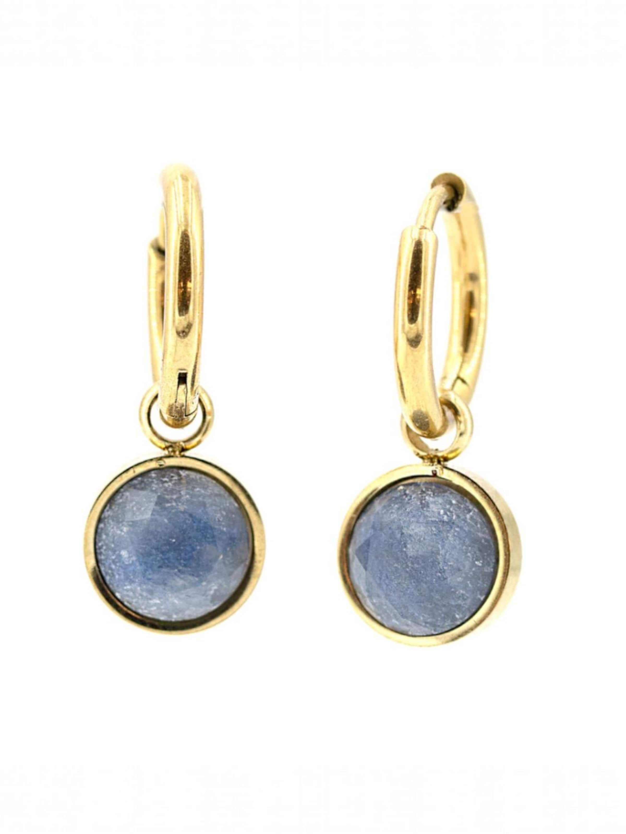 Sergio Engel Earrings in Blue: front