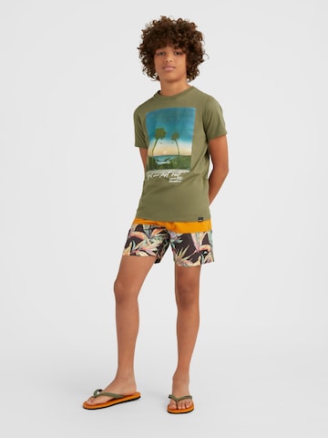 Shorts de bain O'NEILL en mélange de couleurs