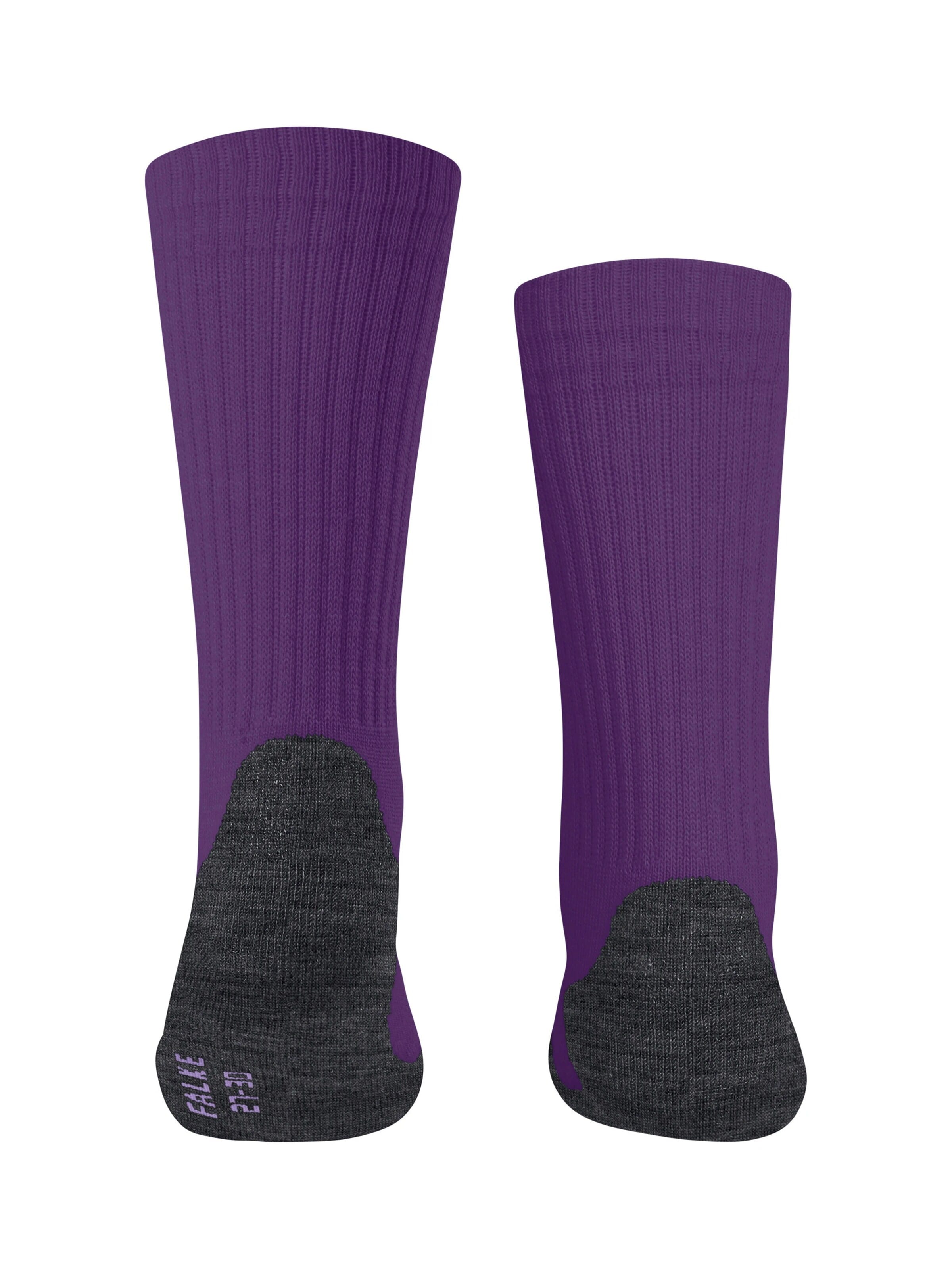 FALKE Socks 'Active Warm' in Purple