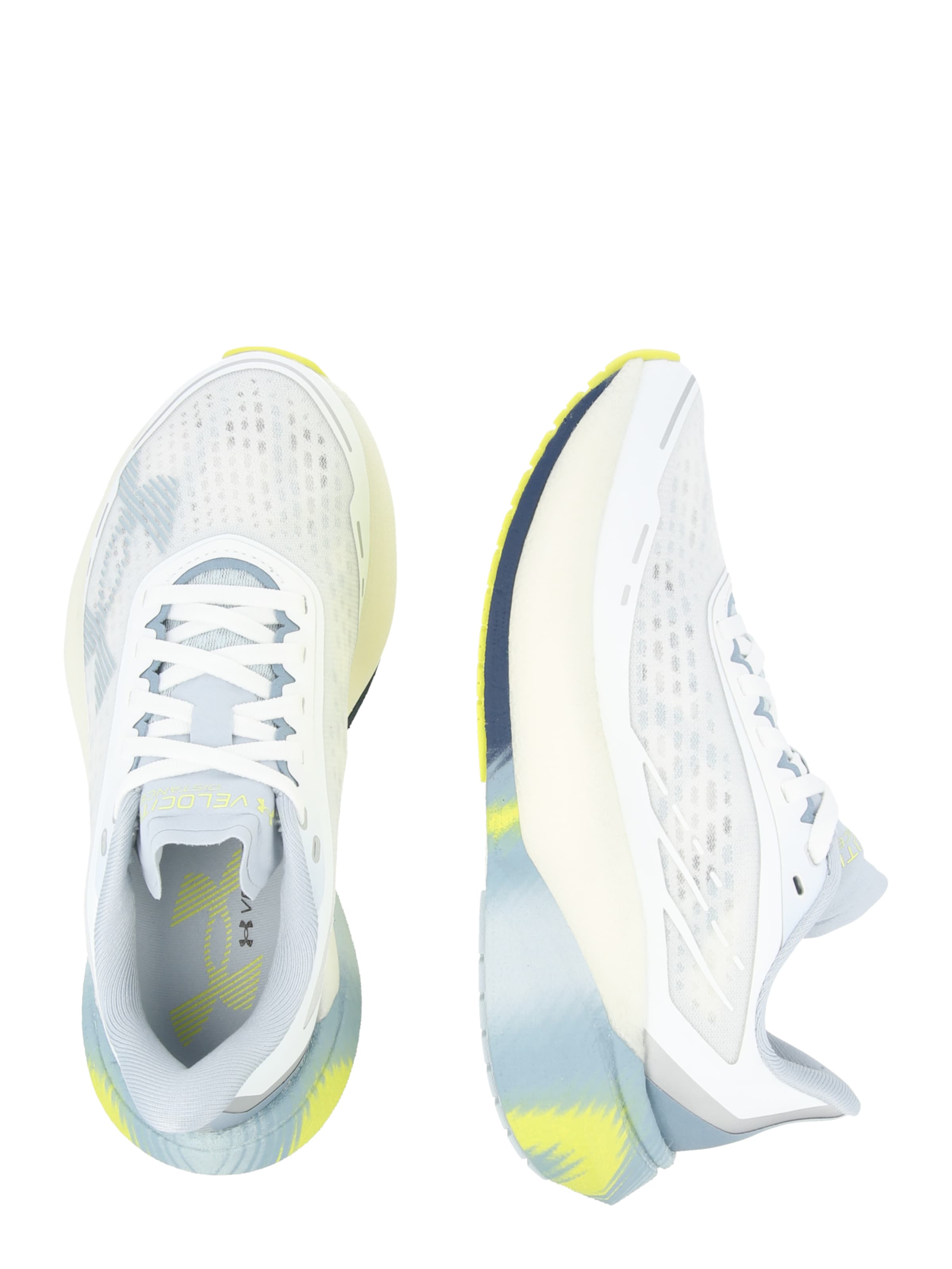 Chaussure de course 'Velociti Distance' UNDER ARMOUR en blanc