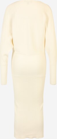 Banana Republic Tall Knitted dress in White