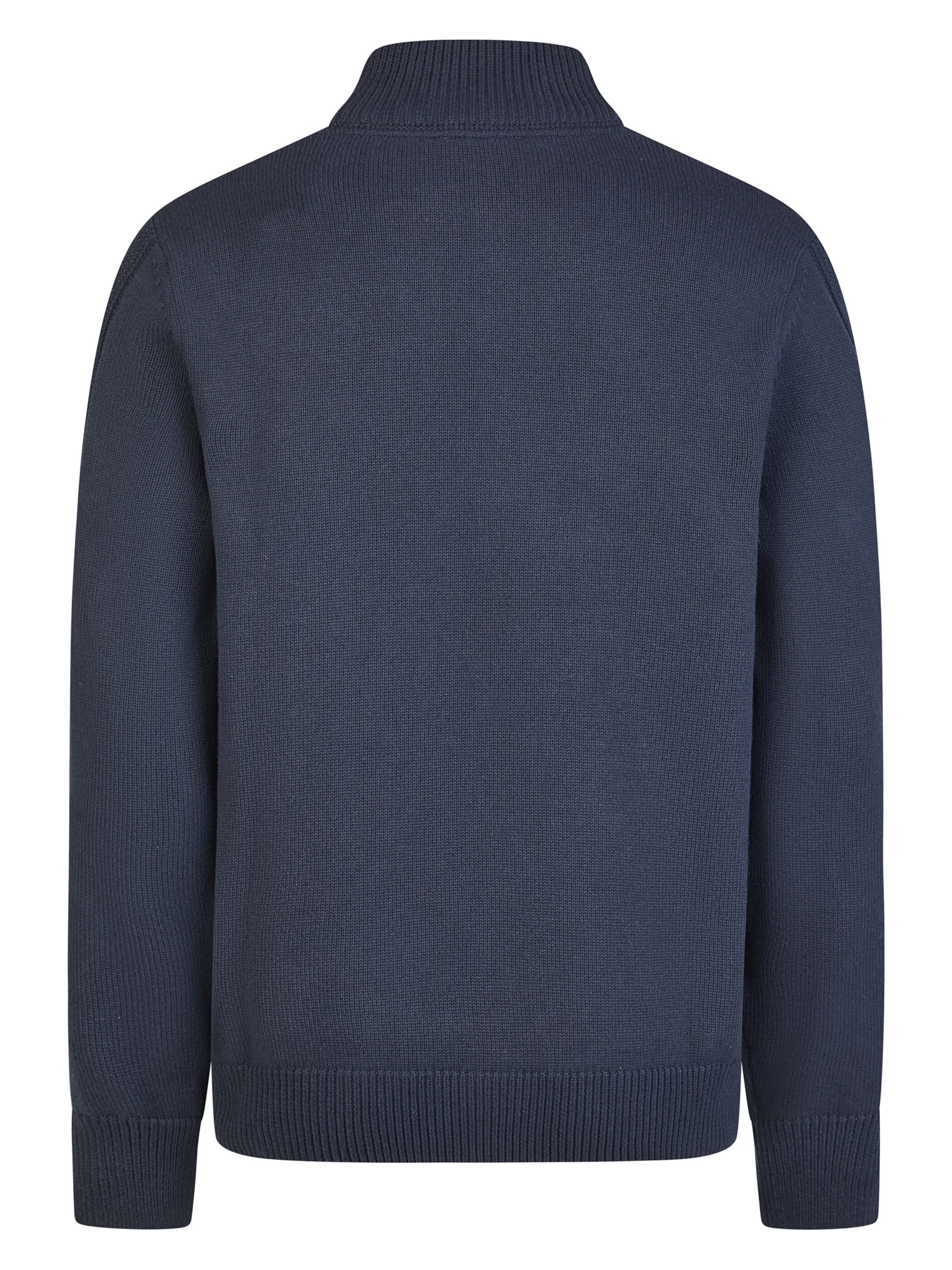 Pull-over PIERRE CARDIN en bleu