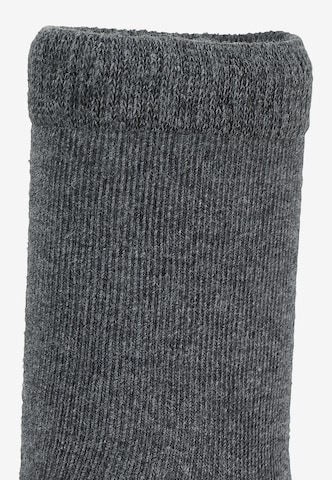 STERNTALER Socken in Grau