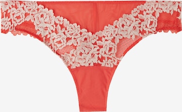 INTIMISSIMI Slip in Orange: Vorderseite