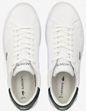 Sneaker bassa 'Powercourt' di LACOSTE in bianco