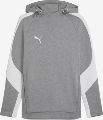 PUMA Sportsweatshirt 'TeamEVOSTRIPE' in Grau: Vorderseite